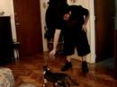degrade� y su ratoncito