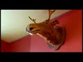Canadiana Backpackers Inn, Toronto Hostels Canadiana Backpackers Inn, Toronto Hostels