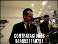 LOS DANDY`S  -  VUELVE A MI
