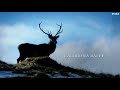 Opening (Saison 4)
