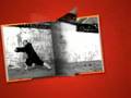 videos de Shaolin Kung Fu