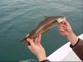 breizh fishing...true moment!!!