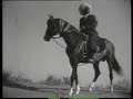 Akhal-Teke 1