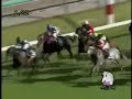 2007 京成杯オータムハンデ KEISEI HAI AUTUMN Hdcp.