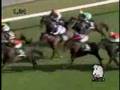 2007 京成杯オータムハンデ KEISEI HAI AUTUMN Hdcp.
