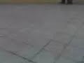 Luii el panchero tacleado