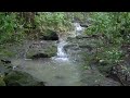 Small Waimalu Stream.AVI Small Waimalu Stream.AVI
