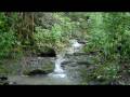 videos de Small Waimalu Stream.AVI