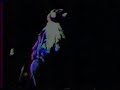Mother Love Bone - Come Bite The Apple - Live 1989
