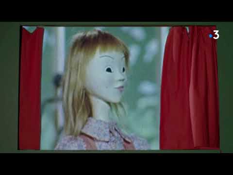 動画