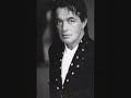 barry ryan-diana