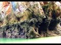 Phang Nga Bay