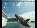 worlds shortest vacation