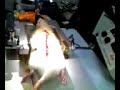 LL, video #2