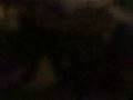 videos de Fizu Baila Solo