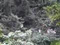 Speleology Brazil iscoti