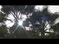 Tabaiba Princess**** a Tropical Resort