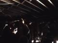 Monster Voodoo Machine rocks Quicksand's "Thorn In My Side"