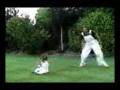 videos de GrandMaLucy.3gp