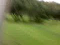 richi, meri,dani,demi,en cochecito de golf