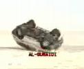 Crash collection of arab drivers