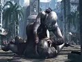 Assassin\ Assassin\