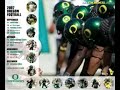 Oregon Duck vs Houston Cougar