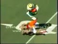Oregon Duck vs Houston Cougar Oregon Duck vs Houston Cougar