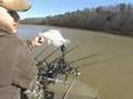 Crappie Fishing #1 - Buggs Island Lake
