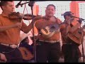 huapango la carmelita