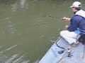 Capturando um Robalo