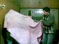 videos pety