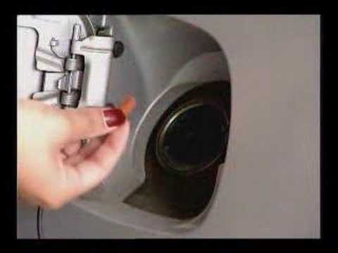Oruga Trotamundos mira el video - MioPlanet.org
