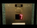 Long Traction Elevators at the Run-Down West Kiener Garage (Bank 2)