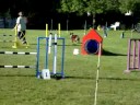 Hurry's Advanced Pairs Run