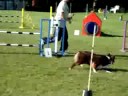 Hurry's Advanced Pairs Run