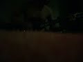 Venas con humo y palabras - Marea