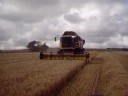 new holland herst new holland herst
