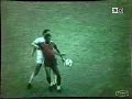 timoumi jalal timoumi jalal