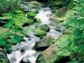 Assistir ao v�deo