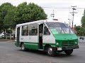 Microbus de la rata
