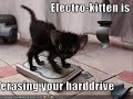 Funny video !!!!!