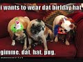 Funny video !!!!!