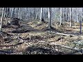 Example: Major Soil Erosion on Forest Access