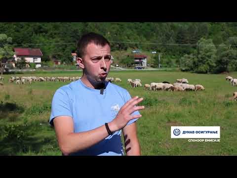 NEMANJA SAVIĆ IZ MESTA JEZERO U REPUBLICI SRPSKOJ NASTAVIO PORODIČNU TRADICIJU I POSVETIO SE OVČARSTVU