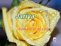 87 PRECIOUS NAMES OF SHEHZADI FATEMA ZAHRA(SA)-MUST WATCH!