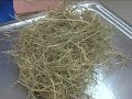 Watch the Rabbit Diet Video