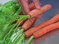 Watch the Rabbit Diet Video