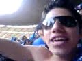 la sangre en el gayinero una reja nos separa