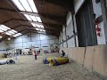 06.12.2009 SV OG Herne 08 Jumping Spiel V0 3. Platz von 47 (J1+J2)